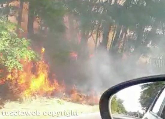 Sterpaglie in fiamme sulla Commenda