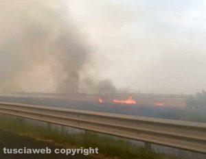 Civitavecchia - Vasto incendio di sterpaglie 