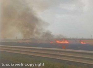 Civitavecchia - Vasto incendio di sterpaglie 
