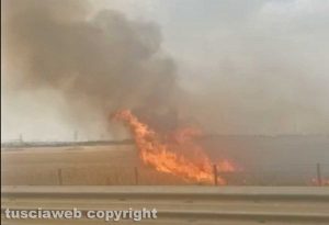 Civitavecchia - Vasto incendio di sterpaglie 