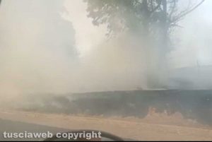 Civitavecchia - Vasto incendio di sterpaglie 
