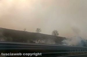 Civitavecchia - Vasto incendio di sterpaglie