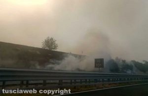 Civitavecchia - Vasto incendio di sterpaglie