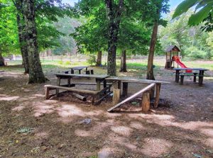 Parco del Grottone - L'area pic-nic