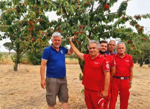 Viterbo - Coldiretti e Cri con la raccolta delle ciliegie