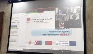 Ankara - Il progetto Mepev