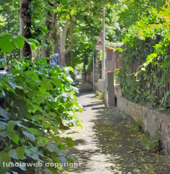Viale Trieste