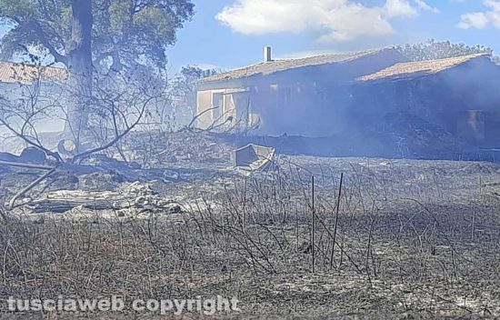 Incendio a Montalto di Castro
