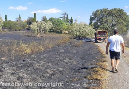 Incendio a Montalto di Castro