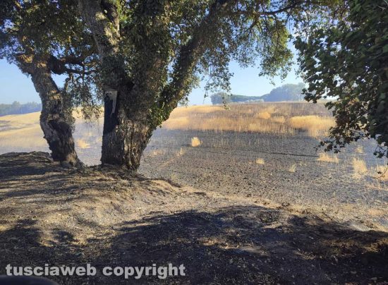 Incendio a Montalto di Castro
