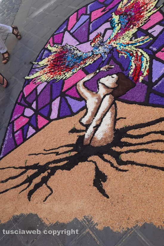 Bolsena - L'infiorata