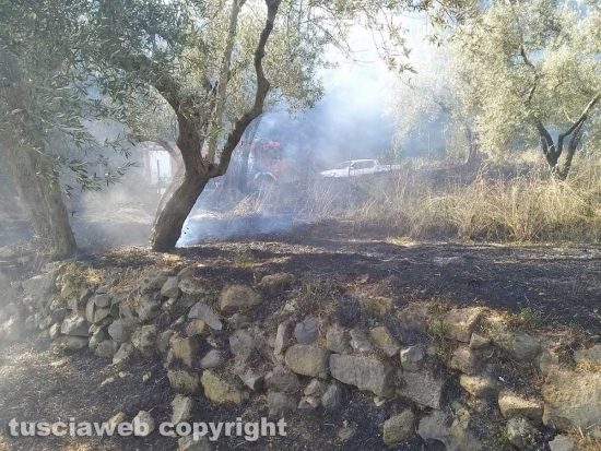 Incendio sulla Commenda