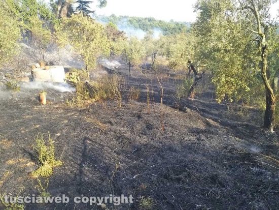 Incendio sulla Commenda