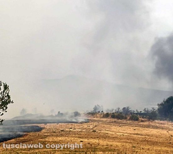 Viterbo - Incendio a Monterazzano