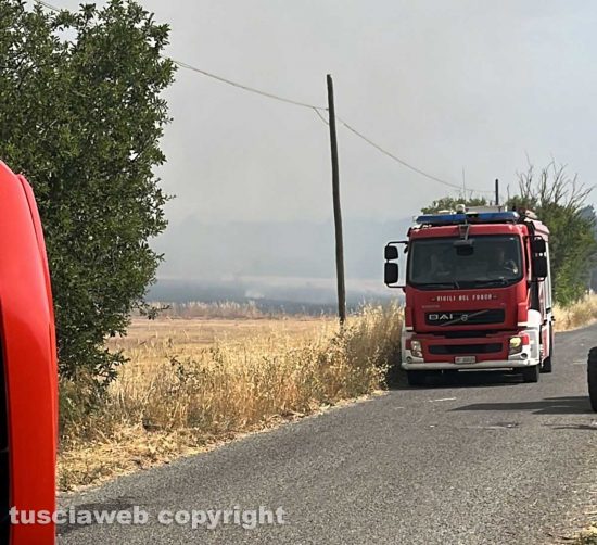 Viterbo - Incendio a Monterazzano