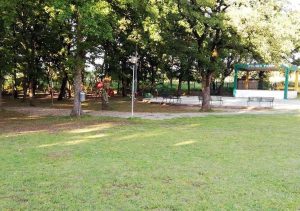 Graffignano - Il parco Poggio del castagno di Sipicciano