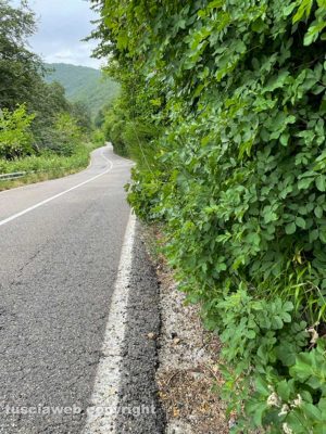 Viterbo - Il tratto di strada San Martino al cimino - Ronciglione