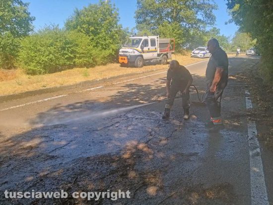 Montefiascone - L'intervento dell'Asvom Odv e della polizia locale sulla provinciale lago di Bolsena