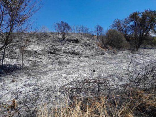 Tarquinia - Incendio a Montericcio