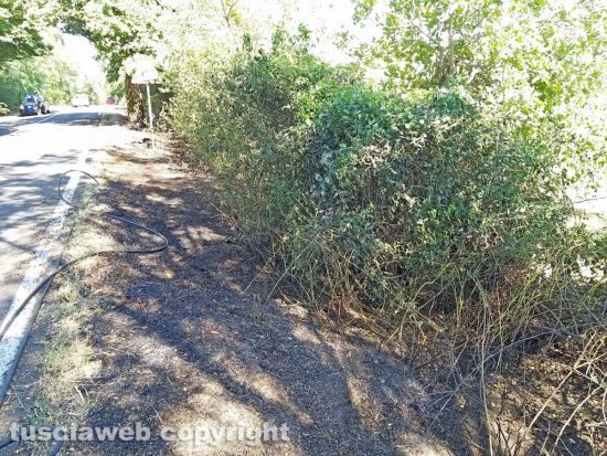 Montefiascone - Bordo strada in fiamme sulla Verentana