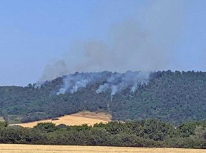 Bosco in fiamme tra il lago di Mezzano e il Casone