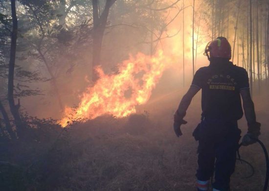 Montefiascone - Incendio tra la località Caversa e Grilli nella frazione di Zepponami 
