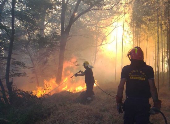Montefiascone - Incendio tra la località Caversa e Grilli nella frazione di Zepponami 