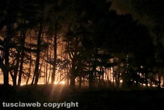 Incendio a Bagnoregio in zona Capraccia