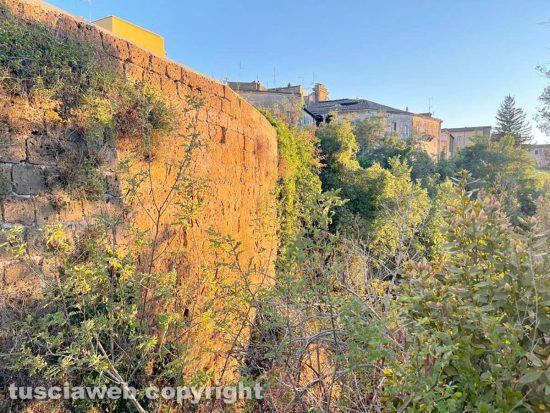 Civita Castellana - Incuria e rovi minacciano la Porta Urbica