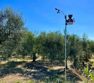 Caprarola - Fototrappola xFarm al Frantoio Santinelli 