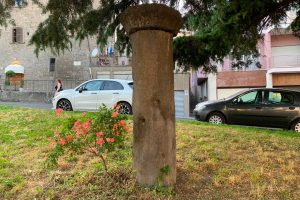 La colonna di Ser Monaldo