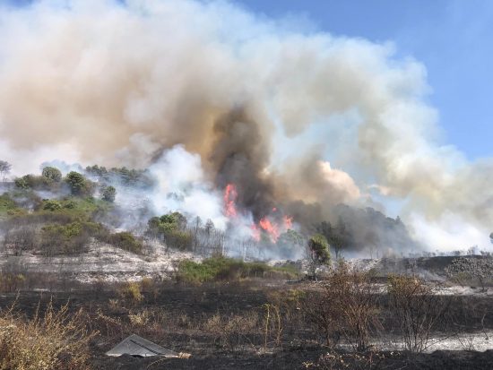 Incendio a Bagnoregio in zona Capraccia