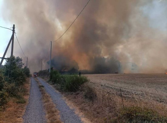 Incendio a Bagnoregio in zona Capraccia