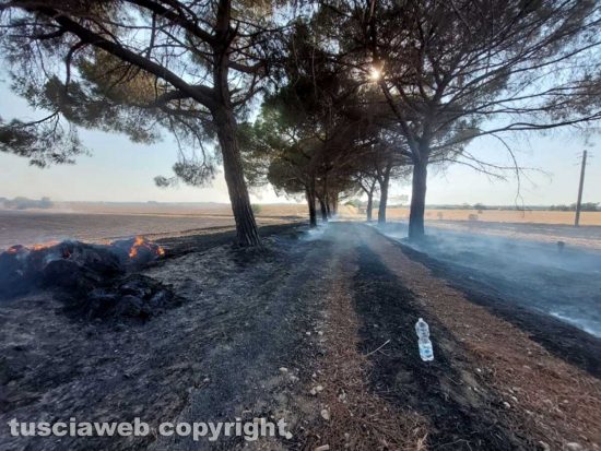 Viterbo - Ettari di campi in fiamme in località casale Pisello