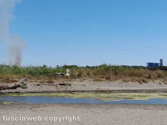 Montalto di Castro - Incendio sull'Aurelia