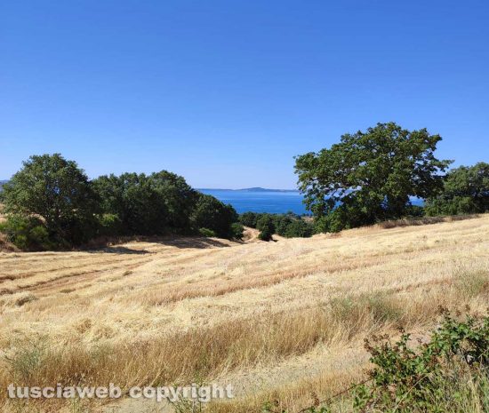 Il lago di Bolsena