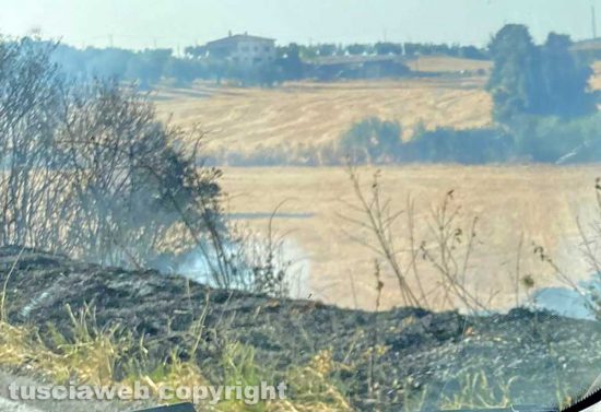 Sterpaglie in fiamme sulla Tuscanese
