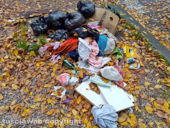 Immondizia a Viterbo