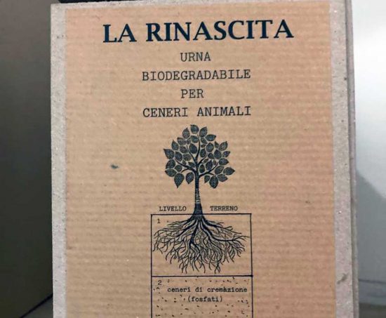 Viterbo - Il Cero Pet - Urna della rinascita