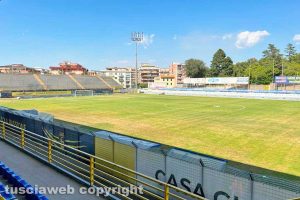 Sport - Calcio - Viterbese - Erba gialla al Rocchi