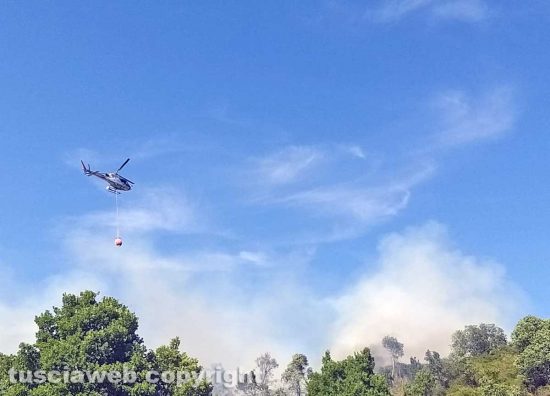 Bagnoregio - Incendio in zona ex Alta