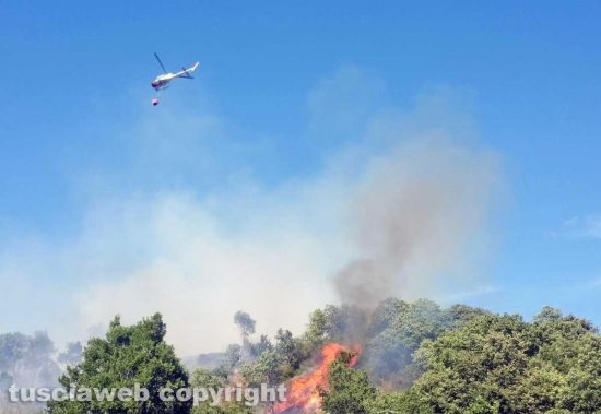 Bagnoregio - Incendio in zona ex Alta