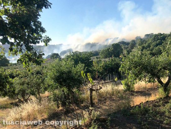 Montefiascone - Incendio tra la località Caversa e Grilli nella frazione di Zepponami 