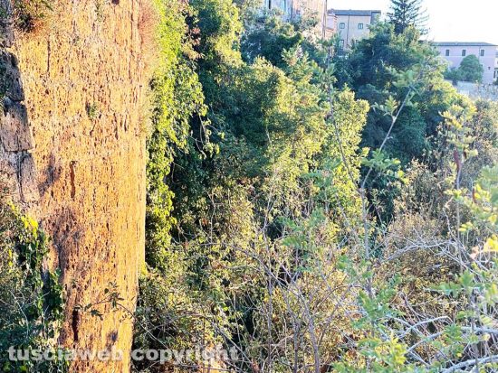 Civita Castellana - Incuria e rovi minacciano la Porta Urbica