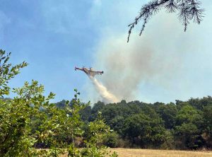 Bosco in fiamme tra il lago di Mezzano e il Casone