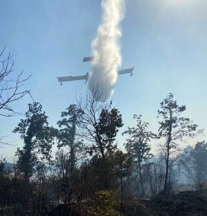 Bosco in fiamme tra il lago di Mezzano e il Casone