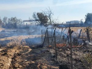 Vasto incendio in località San Savino tra Marta e Tuscania