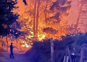 L'incendio divampato ieri pomeriggio nell'area della faggeta di Oriolo