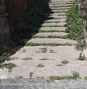 Viterbo - Via Bellavista nel degrado