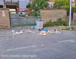 Incursioni cinghiali in via dei Monti Cimini